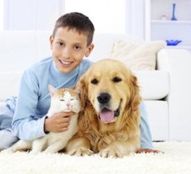professional carpet cleaning