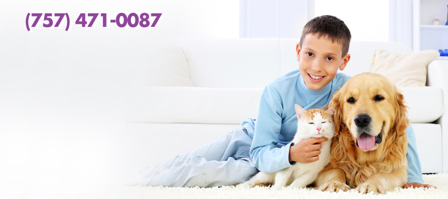 Pet Urine Odor Removal VA Beach