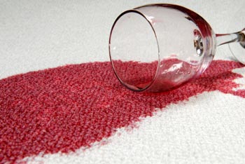 Carpet Stain Protection Service carpet stain protection